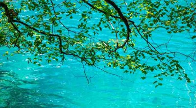 从北国鹤乡到天府之国，一场跨越3000公里的味觉与视觉冒险