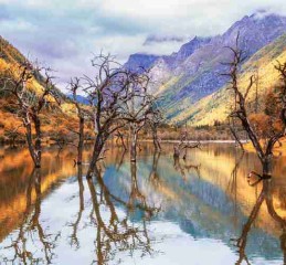 碧峰峡，一个去了就不想走的地方！四川这个神仙峡谷藏了多少惊喜？