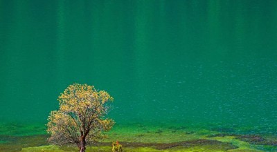 四川旅游必去景点大全，别只知道九寨沟，这8个地方错过绝对后悔！