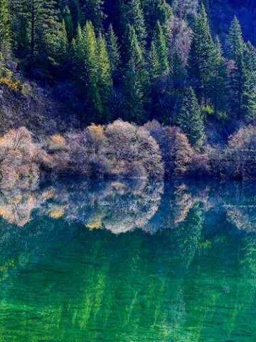 四川利川，一个被地图藏起来的秘境，这10个地方美到犯规！