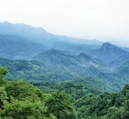 四川，一个让人去一次就惦记着的地方