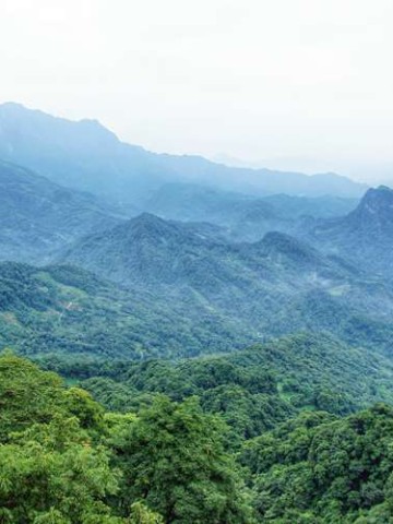 峨眉山，一场与云雾、猴子和自己的对话