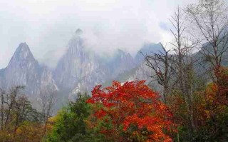 瓦屋山旅游地图，探索四川的神秘仙境