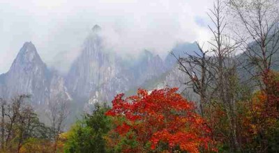 去四川，别只盯着成都！这5个地方才是我的私藏宝地