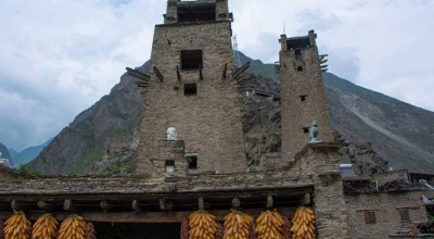 四川动物园不完全指南，看熊猫打哈欠，听猴子吵架，顺便治愈你的精神内耗