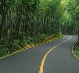 凉山深处有火塘，一份不赶路的彝族风情指南