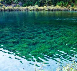 四川旅游气温，别信天气预报，信我的血泪经验