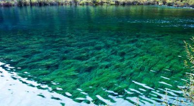 四川旅游年票官网，到底值不值得买？我帮你扒了个底朝天！