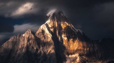 点开四川旅游官网，我好像听见了火锅沸腾的声音