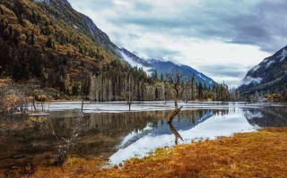 成都老人旅游的好去处，享受悠闲与文化的*结合