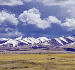 从承德到四川，一场跨越山河的味蕾与视觉冒险