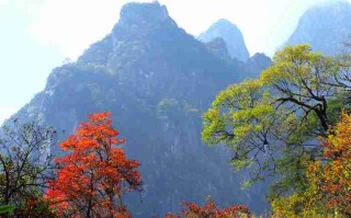 四川旅游的更佳时间与季节——探秘巴蜀大地的四季之美