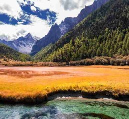 四川，一个去了就不想走的地方