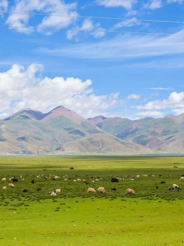 四川，一个来了就走不脱的地方