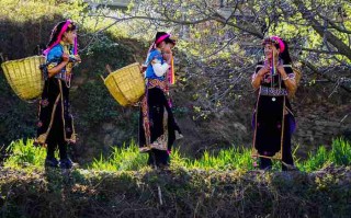 探索四川的自然之美，九寨沟、峨眉山和乐山大佛