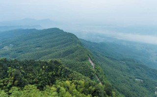 成都自由行与跟团游，深入探索天府之国的无限魅力