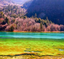 春天去四川，别只知道看熊猫！这6个地方美得像打翻了调色盘