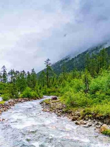四川，不止成都！这5座被低估的宝藏城市，藏着最地道的烟火与仙气