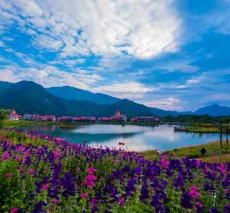 四川这3个冷门避暑地，本地人都偷偷去，比九寨沟凉快10倍还便宜