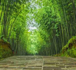 四川长兴？别急，这篇川味景点合集，比火锅底料还带劲！