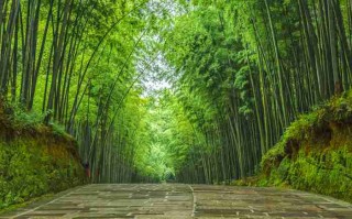 成都三日游周边路线，探索蜀地风情