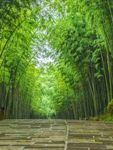 四川假期怎么玩？别只知道九寨沟了，这5个地方才是本地人的私藏清单