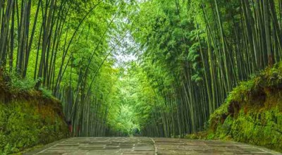 四川，一个让人来了就不想走的地方