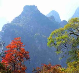 别只知道成都九寨沟了！这座川东小城，藏着最地道的安逸生活