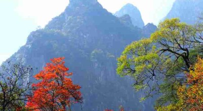 青城山，一场与道有关的慢游实验